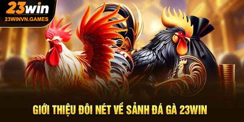 Trải nghiệm đá gà gay cấn tại 23Win